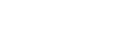 ICON ELV logo